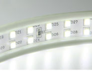 1500lm SMD5050 Wechselstroms LED Band des Licht-Streifen-220V 240V 110V 230V 6W/M Waterproof LED